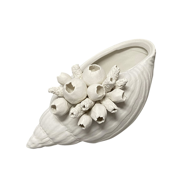 JETTY WHITE STONE CONCH SHELL SML