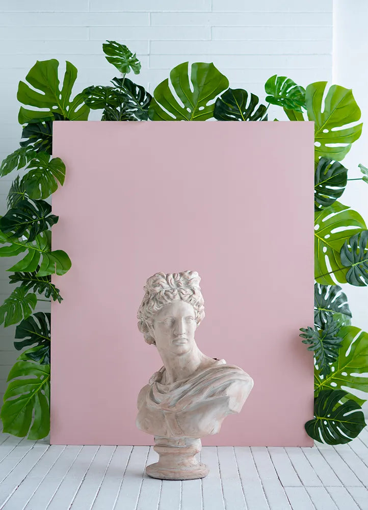 Bust of a classical figure against a pink background with green leaves