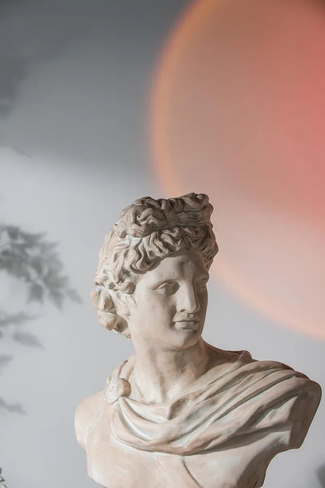 Marble bust of a classical figure against a neutral background