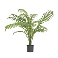 Potted fern plant on a light gray background