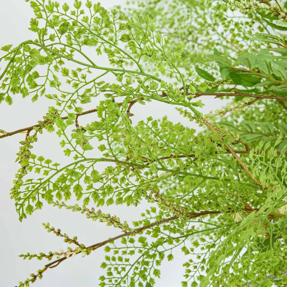 Close-up of green leaves and branches against a light background