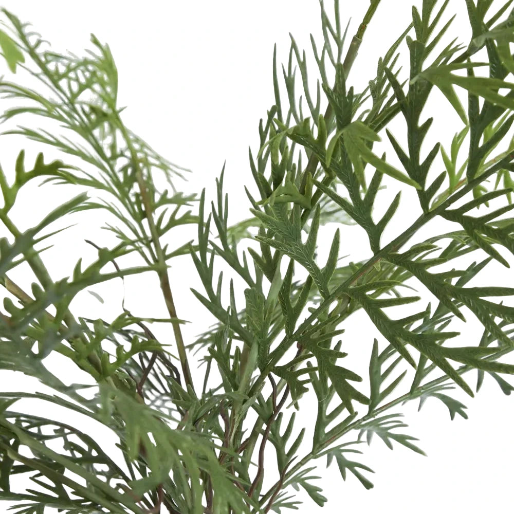 Close-up of green leafy branches against a light gray background