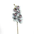 SOPHIA SOFT TOUCH ORCHID STEM BLUE GUM