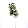 SOPHIA SOFT TOUCH ORCHID STEM SAGE