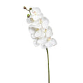 SOPHIA SOFT TOUCH ORCHID STEM WHITE
