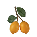 Two yellow fruits on a branch with green leaves against a white background