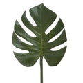 Large green leaf on a white background