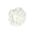 ULLA RESIN CORAL ORNAMENT