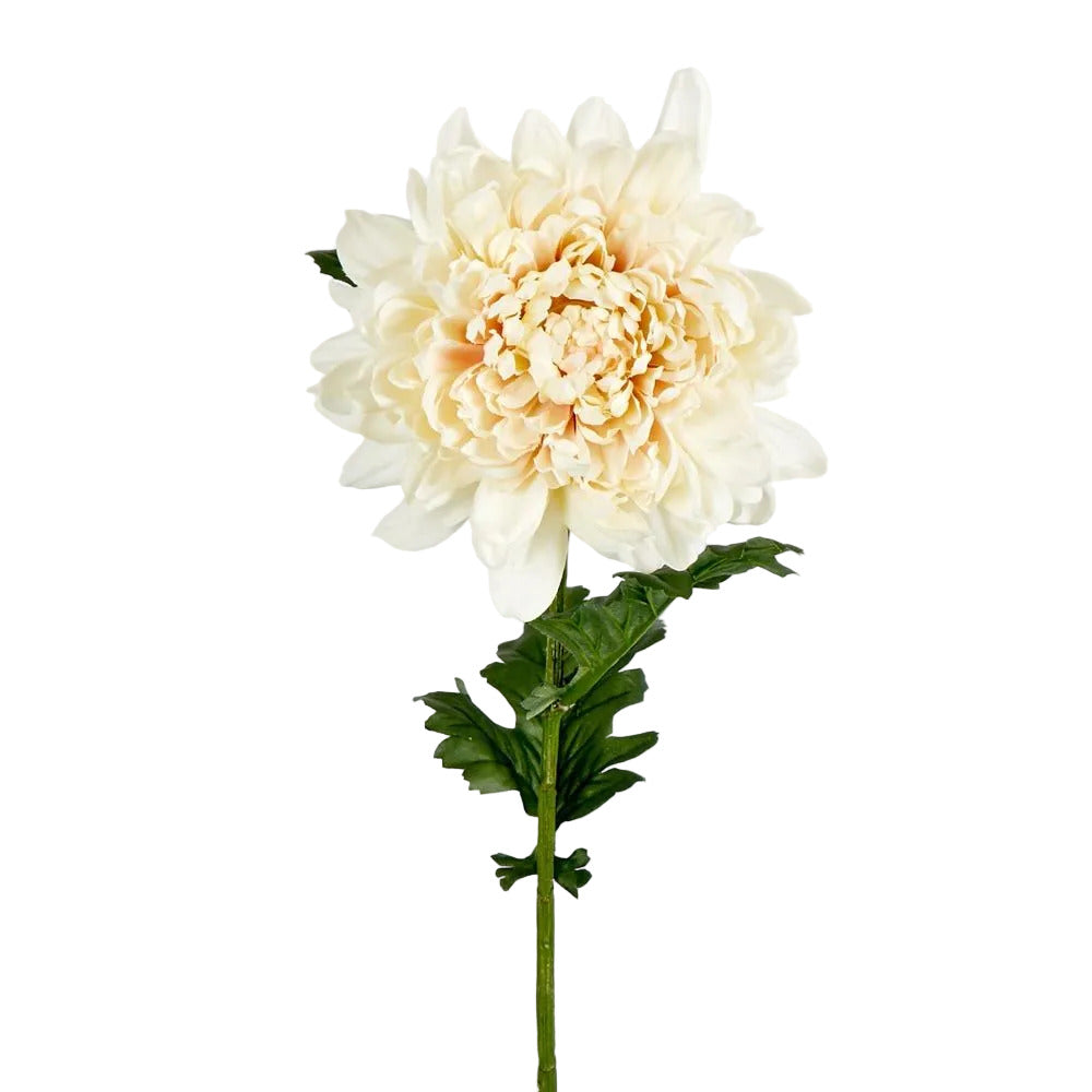Chrysanthemum 76cm Cream