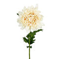 Chrysanthemum 76cm Cream