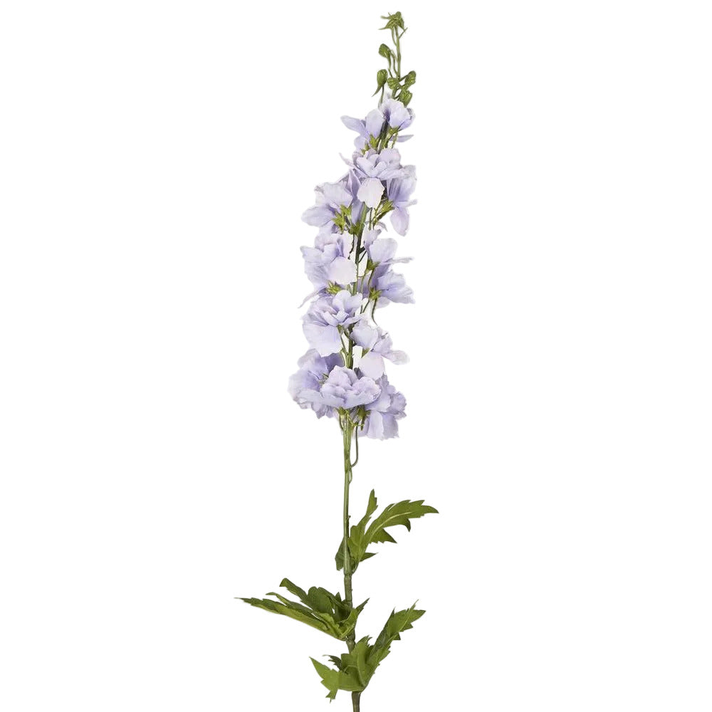 Bella Single Head Delphinium Lavender