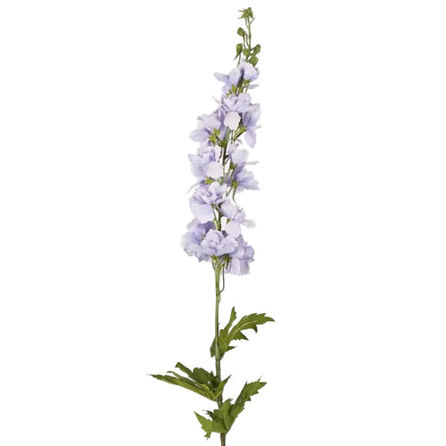 Bella Single Head Delphinium Lavender