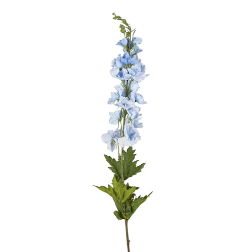 Bella Single Head Delphinium Light Blue