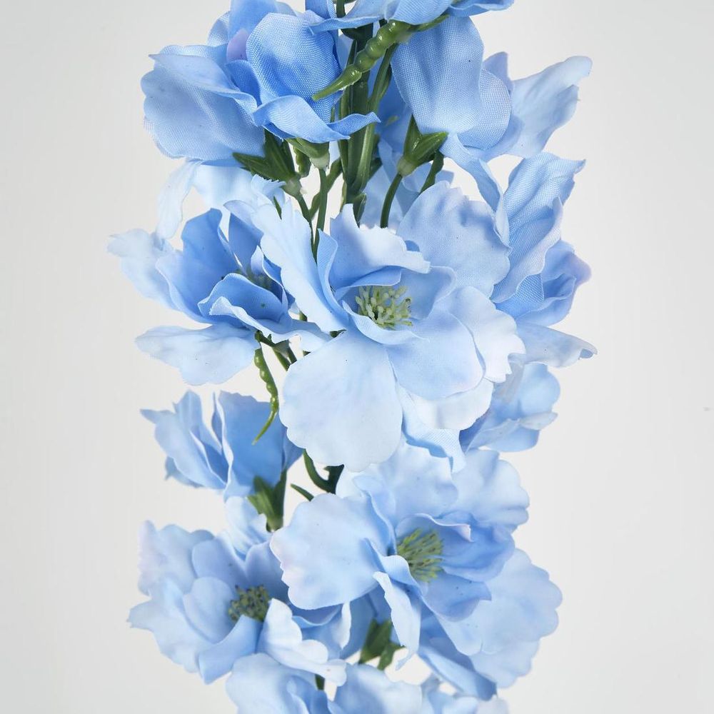 Bella Single Head Delphinium Light Blue image 3