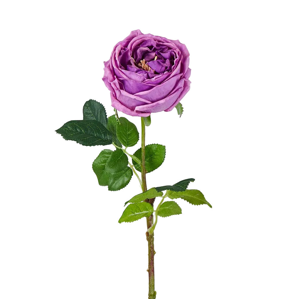 Dianna Real Touch Rose Steam Lilac
60cm