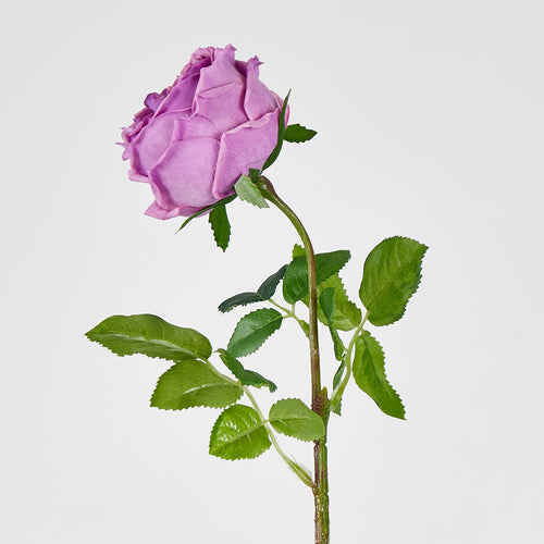 Dianna Real Touch Rose Steam Lilac
60cm image 2