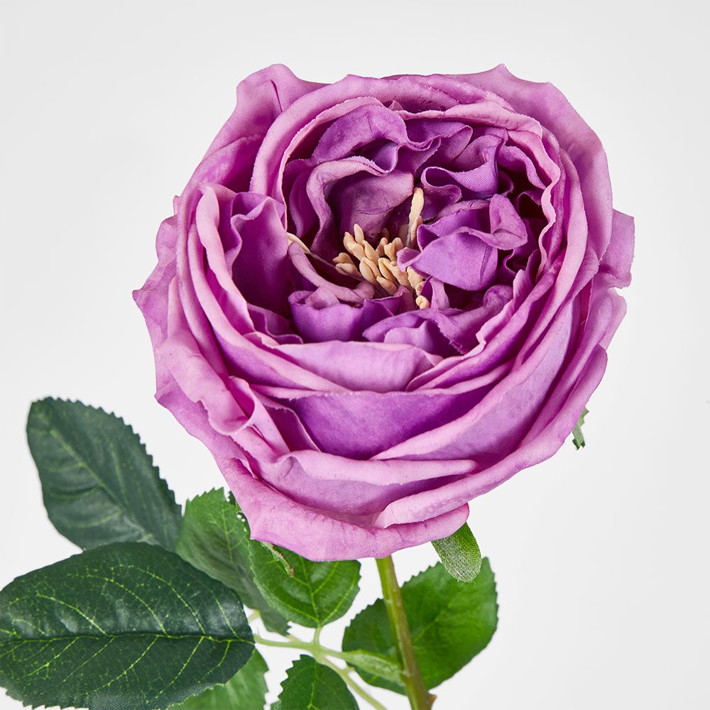 Dianna Real Touch Rose Steam Lilac
60cm image 3