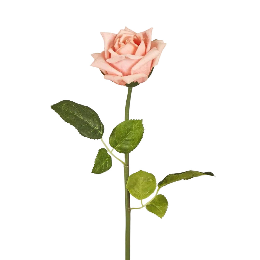 Ingrid Rose Real Touch Peach
46cm