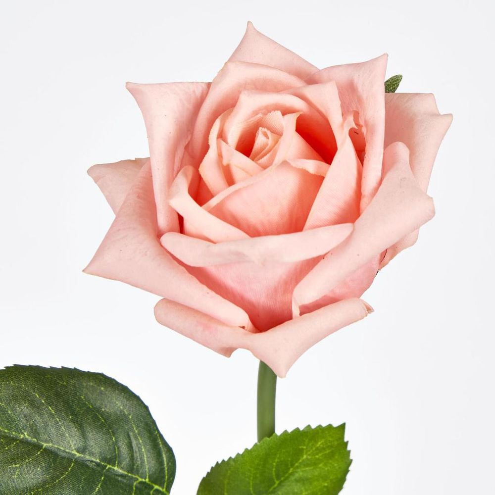 Ingrid Rose Real Touch Peach
46cm image 3