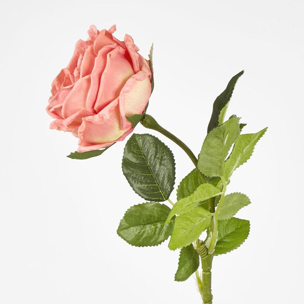 Dianna Real Touch Rose Steam Orange
60cm image 2
