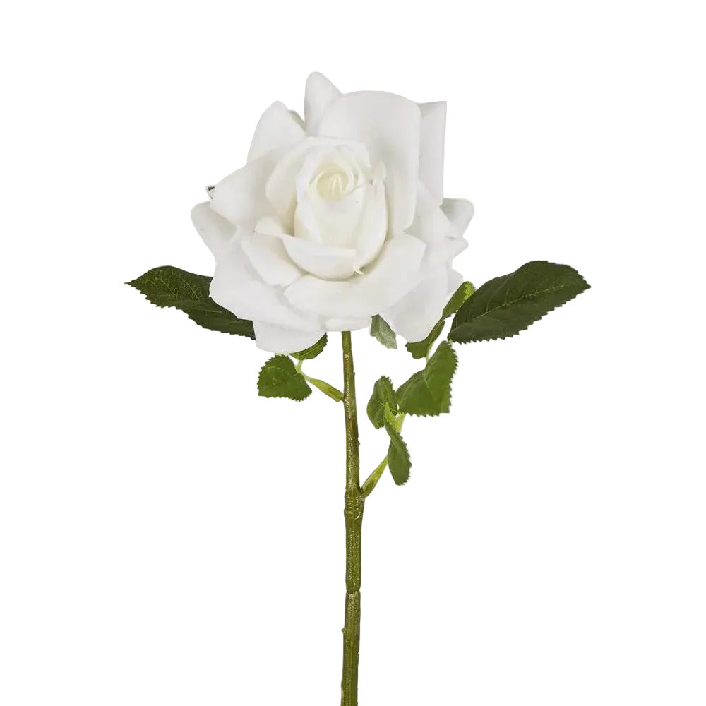 Walter Real Touch Rose Stem Ivory
61cm