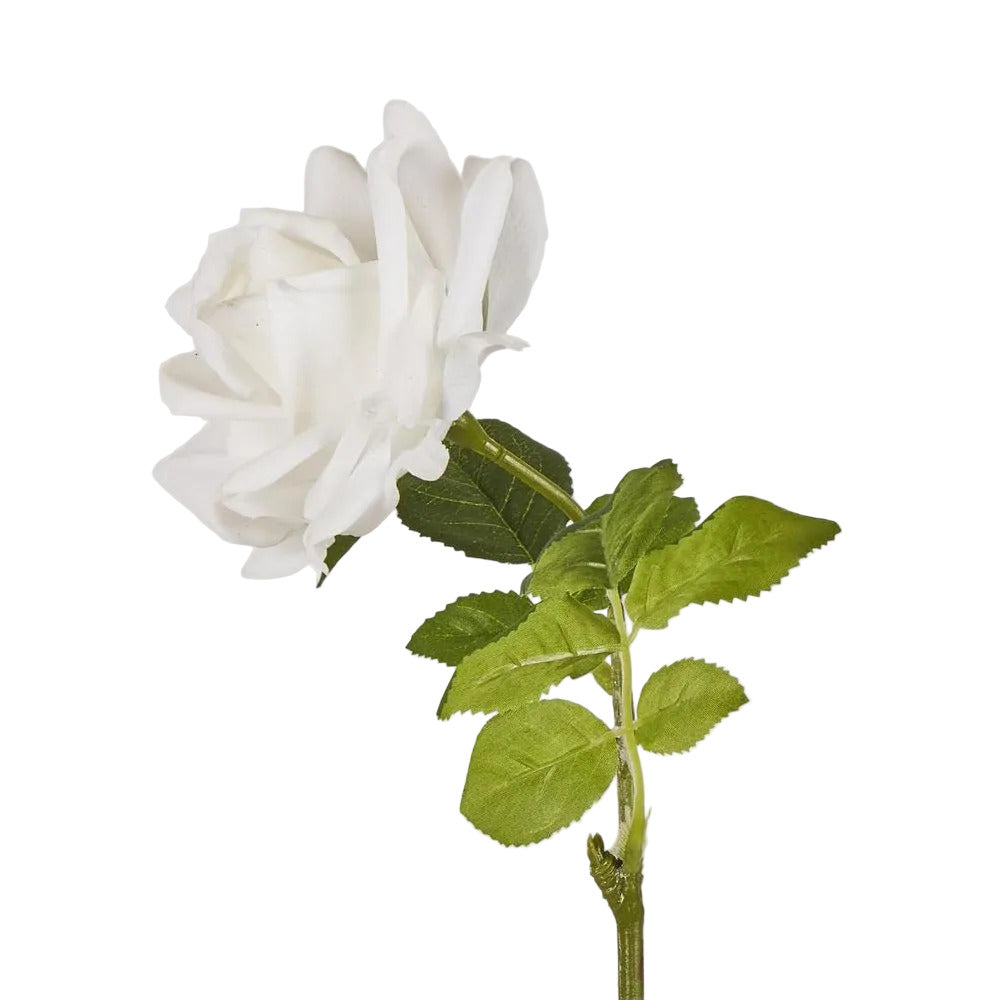Walter Real Touch Rose Stem Ivory
61cm image 2