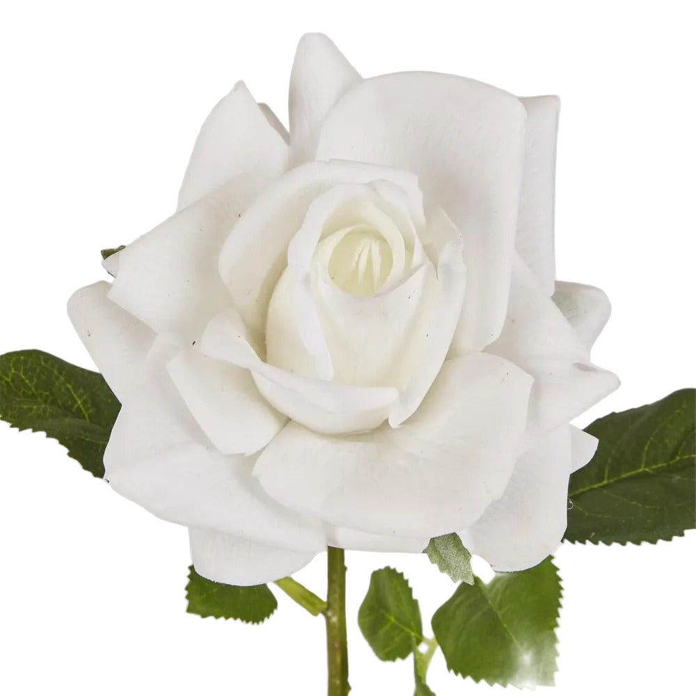 Walter Real Touch Rose Stem Ivory
61cm image 3