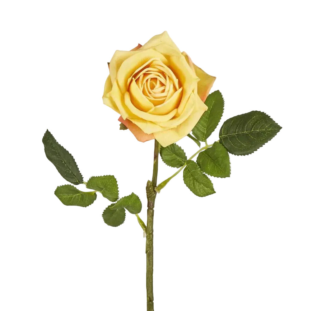 Walter Real Touch Rose Stem Yellow
61cm