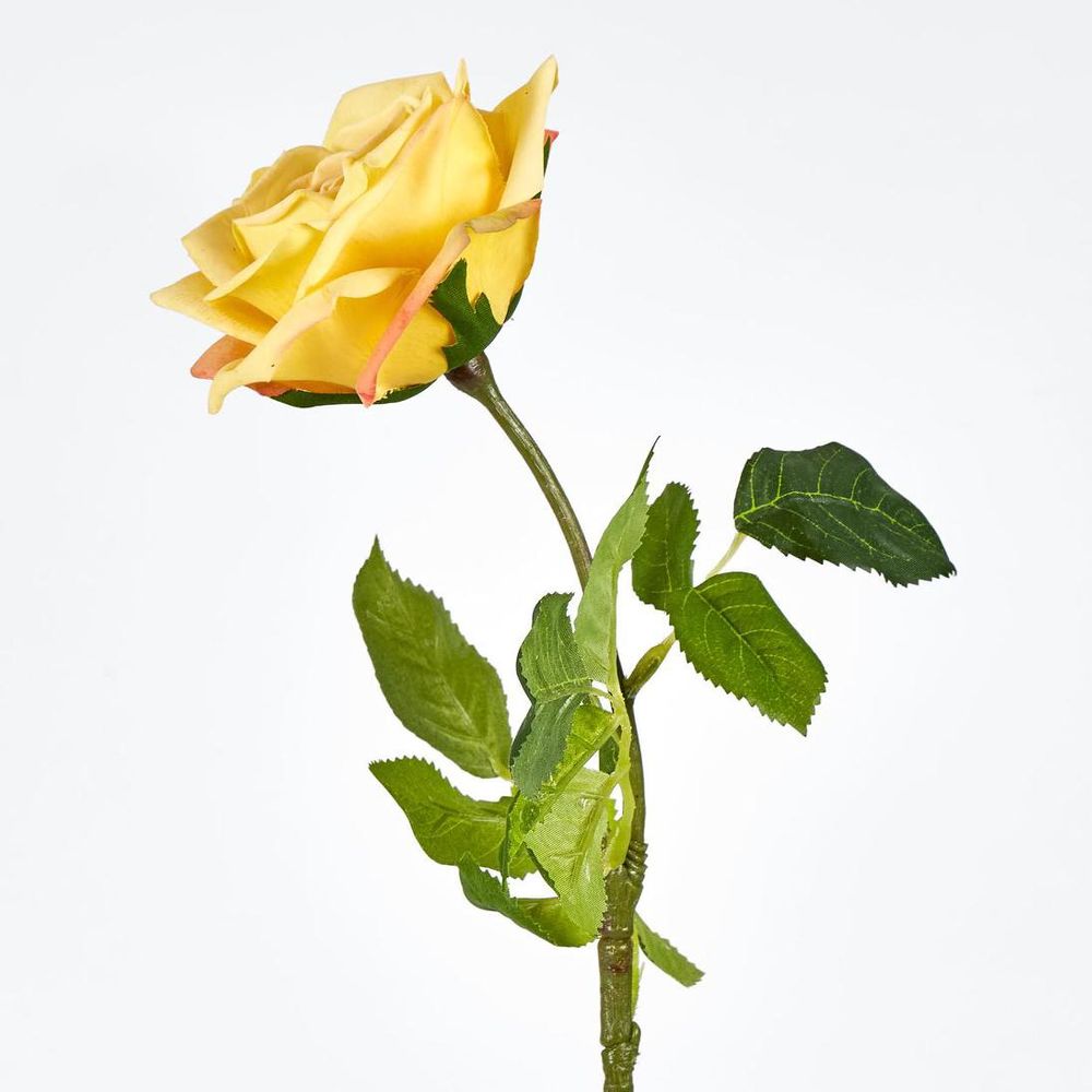 Walter Real Touch Rose Stem Yellow
61cm image 2