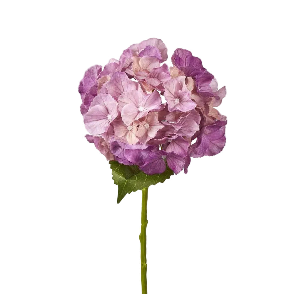 Susan Hydrangea Soft Touch Plum
52cm