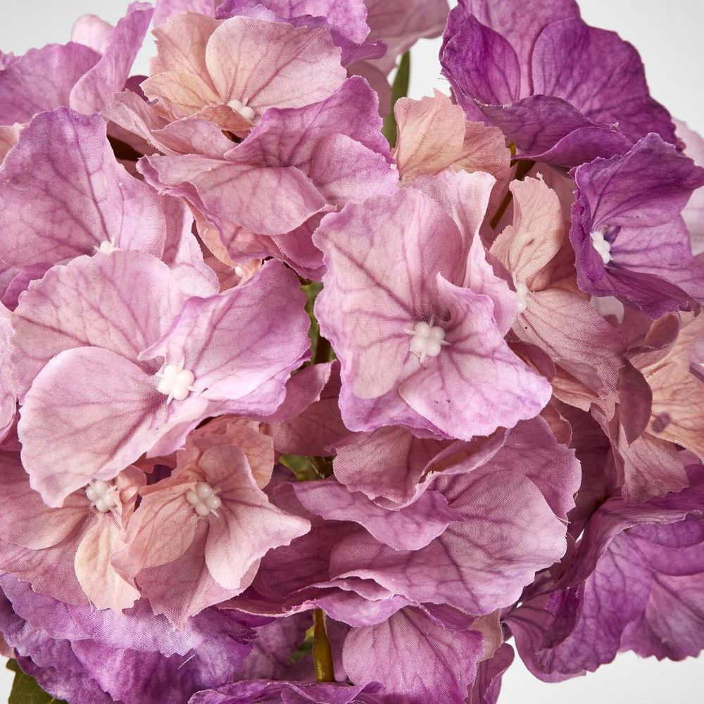 Susan Hydrangea Soft Touch Plum
52cm image 3