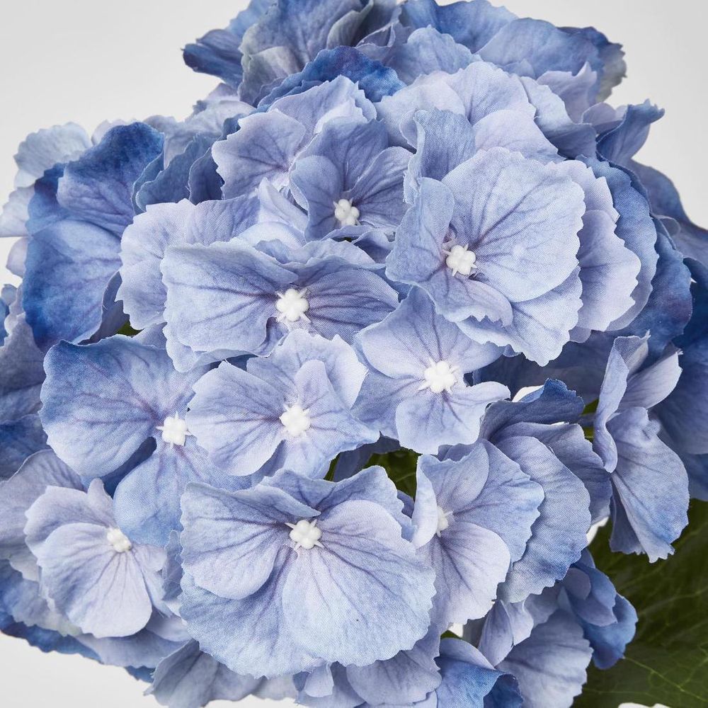 Susan Hydrangea Soft Touch Blue
52cm image 3
