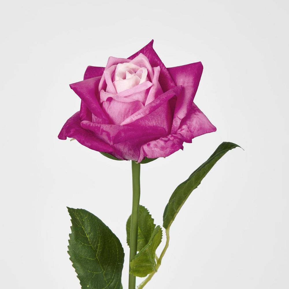 Ingrid Rose Real Touch Fuschia
46cm image 2