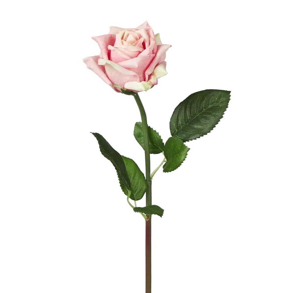Ingrid Rose Real Touch Light Pink
46cm