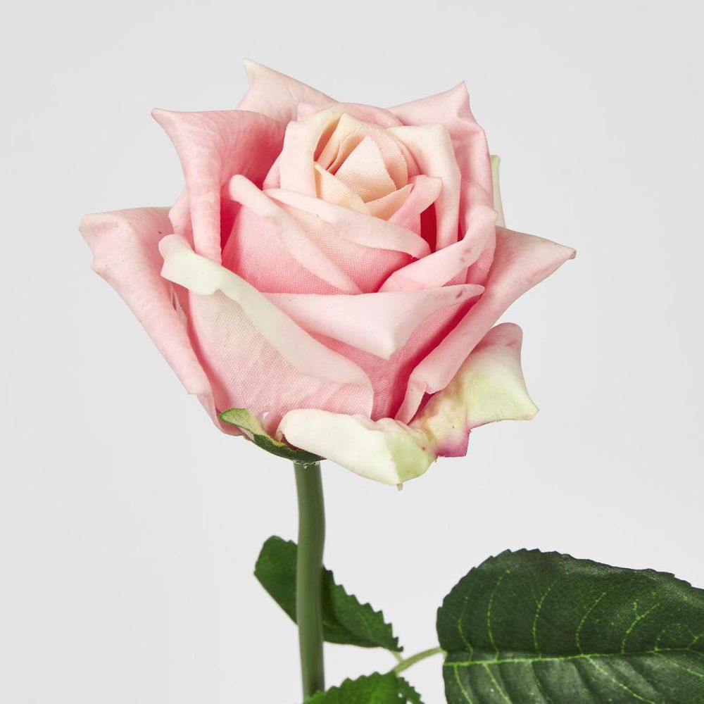 Ingrid Rose Real Touch Light Pink
46cm image 2