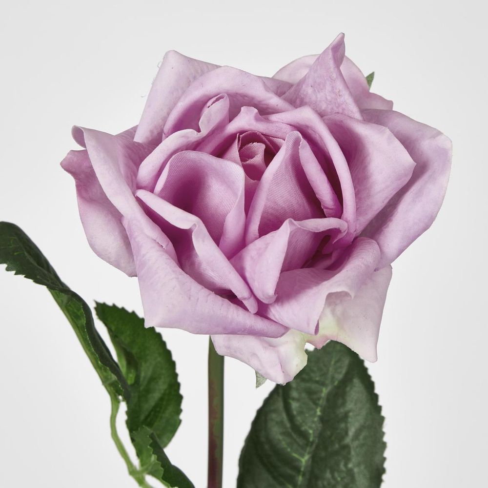 Ingrid Rose 46cm Mauve image 2