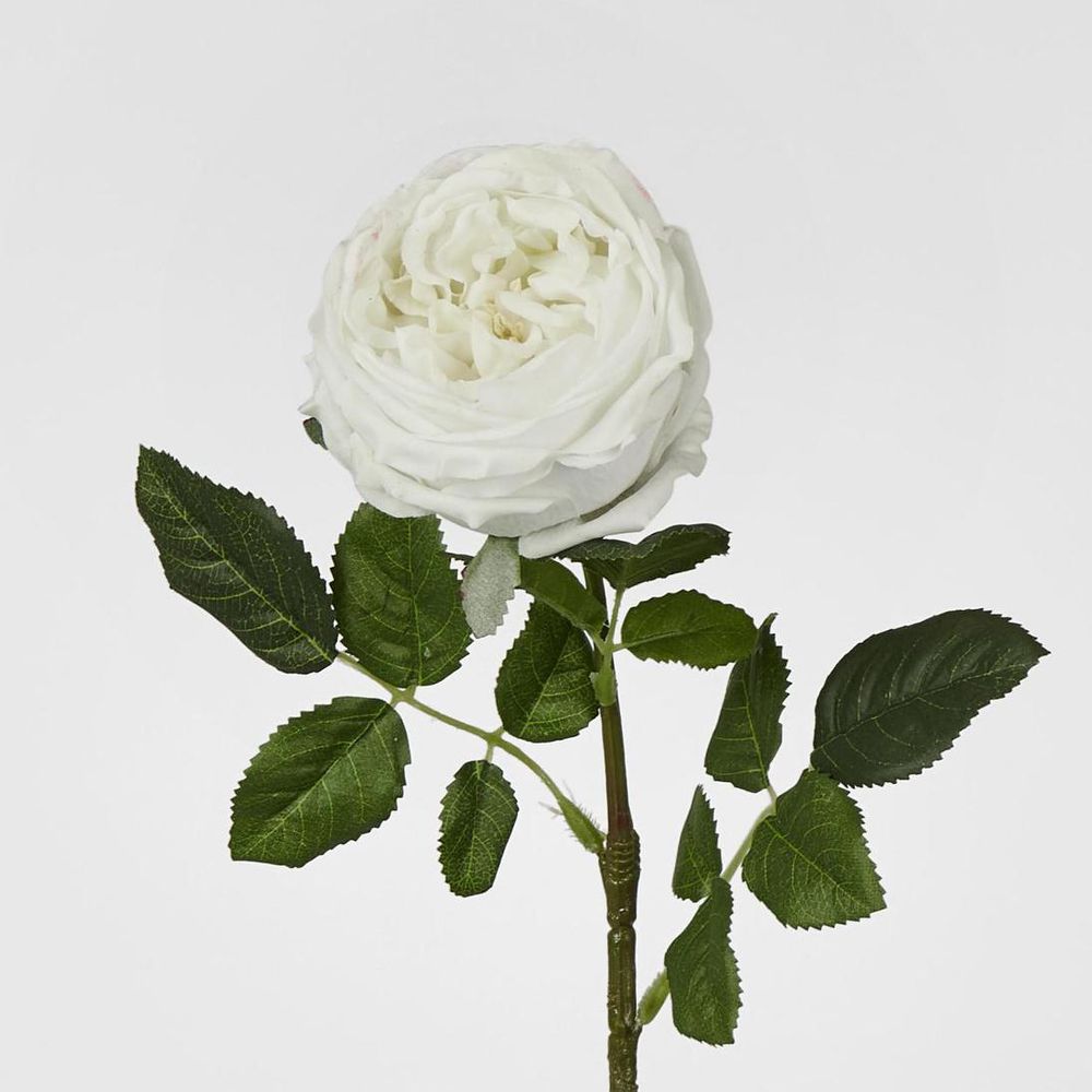 Dianna Real Touch Rose Stem White 60cm image 2