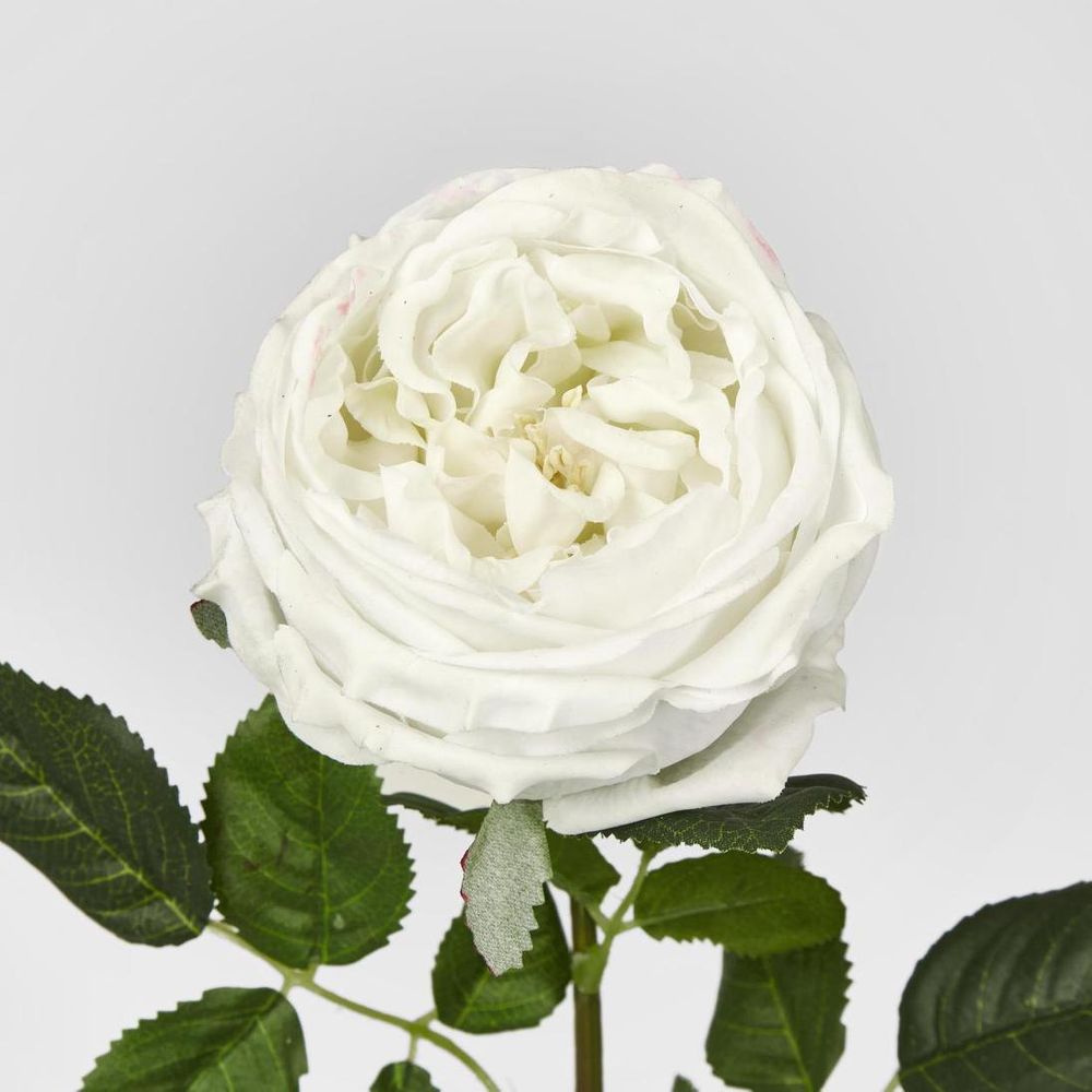 Dianna Real Touch Rose Stem White 60cm image 3