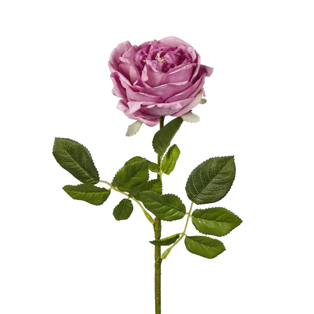Dianna Real Touch Rose Steam Autumn Pink
60cm