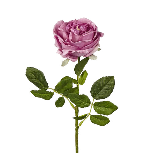 Dianna Real Touch Rose Steam Autumn Pink
60cm
