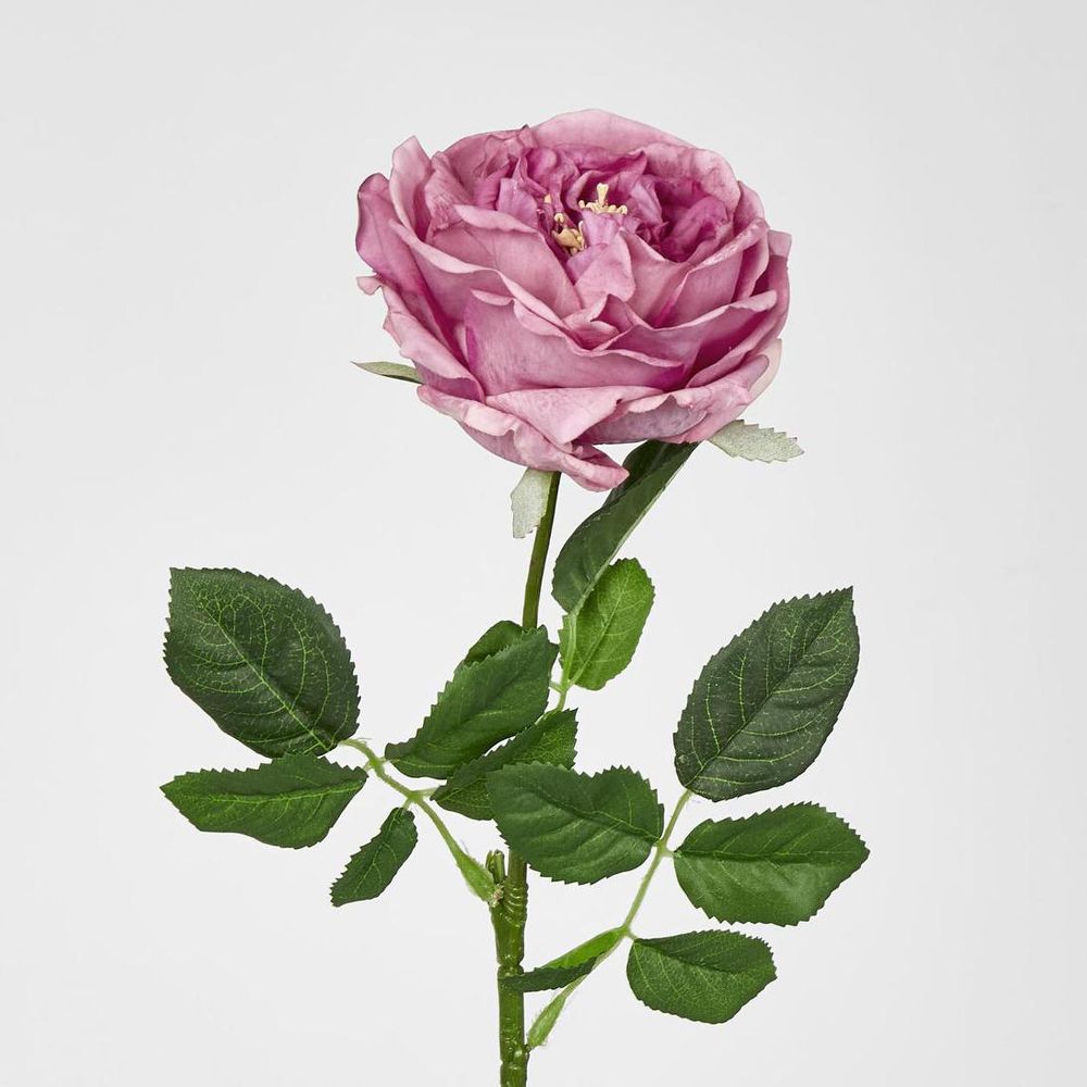 Dianna Real Touch Rose Steam Autumn Pink
60cm image 2
