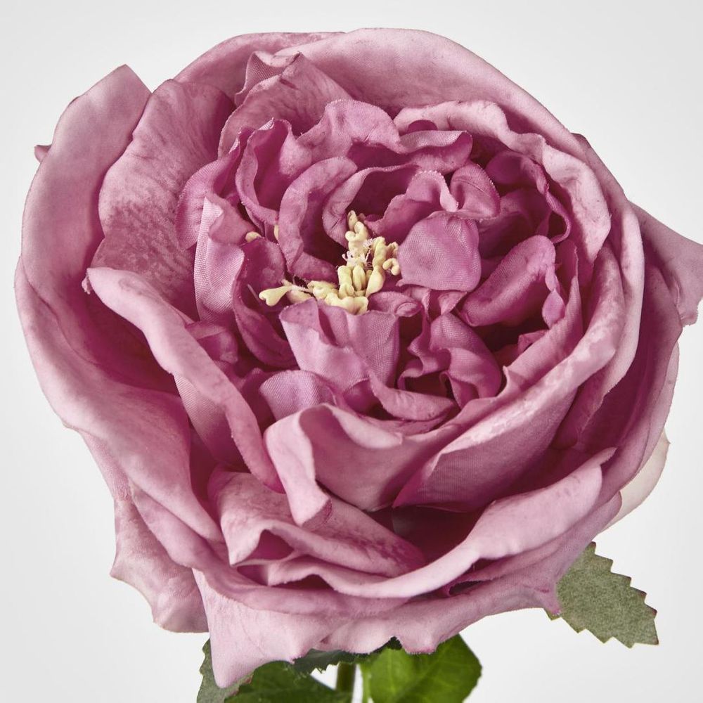 Dianna Real Touch Rose Steam Autumn Pink
60cm image 3