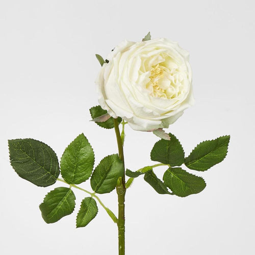 Dianna Real Touch Rose Steam Light Champagne
60cm image 2