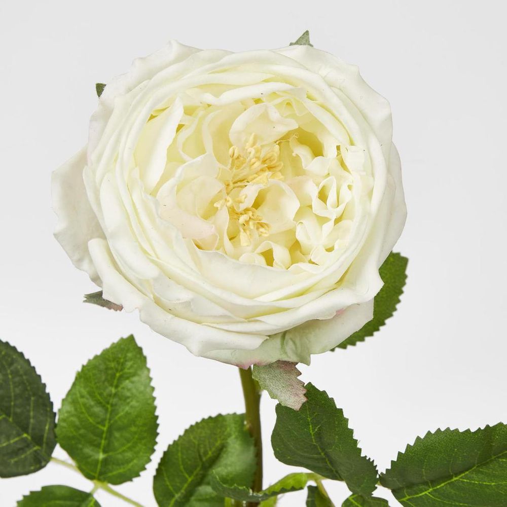 Dianna Real Touch Rose Steam Light Champagne
60cm image 3