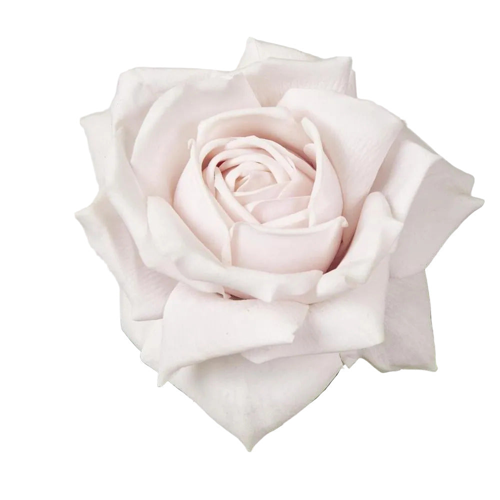 Walter Real Touch Rose Stem Soft Pink 61cm image 3