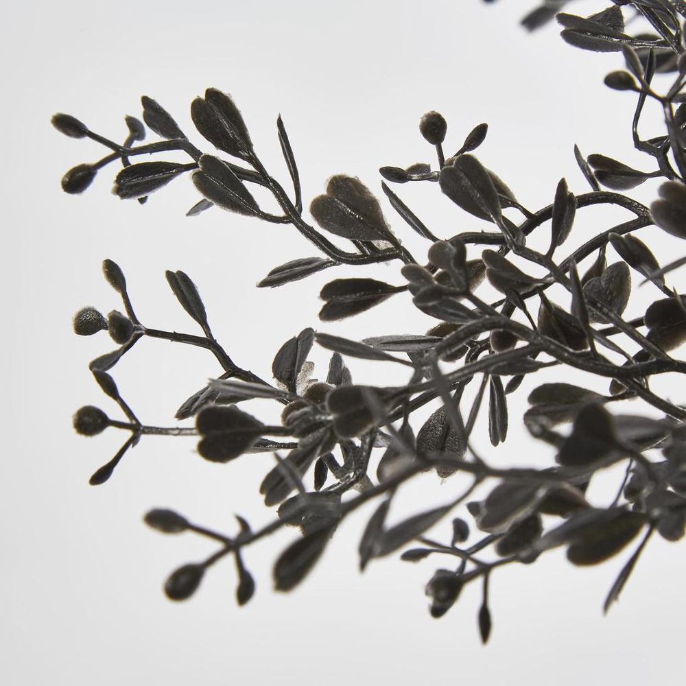 Boxwood Bush Black image 3