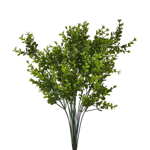 Boxwood Bush Green