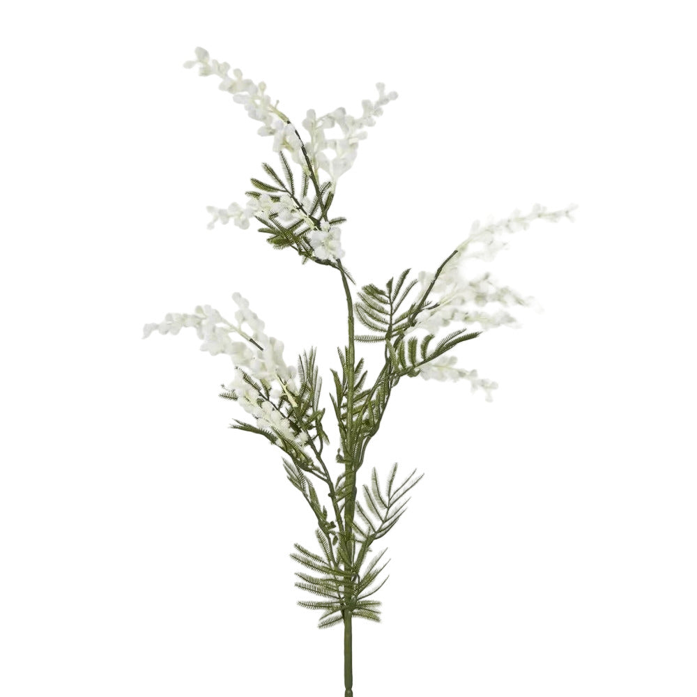 Australian Wattle 85cm White