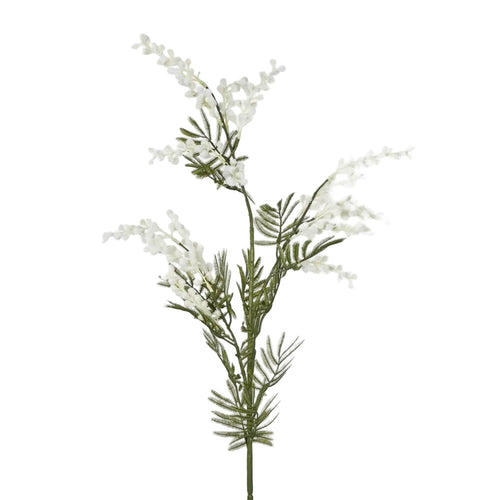 Australian Wattle 85cm White