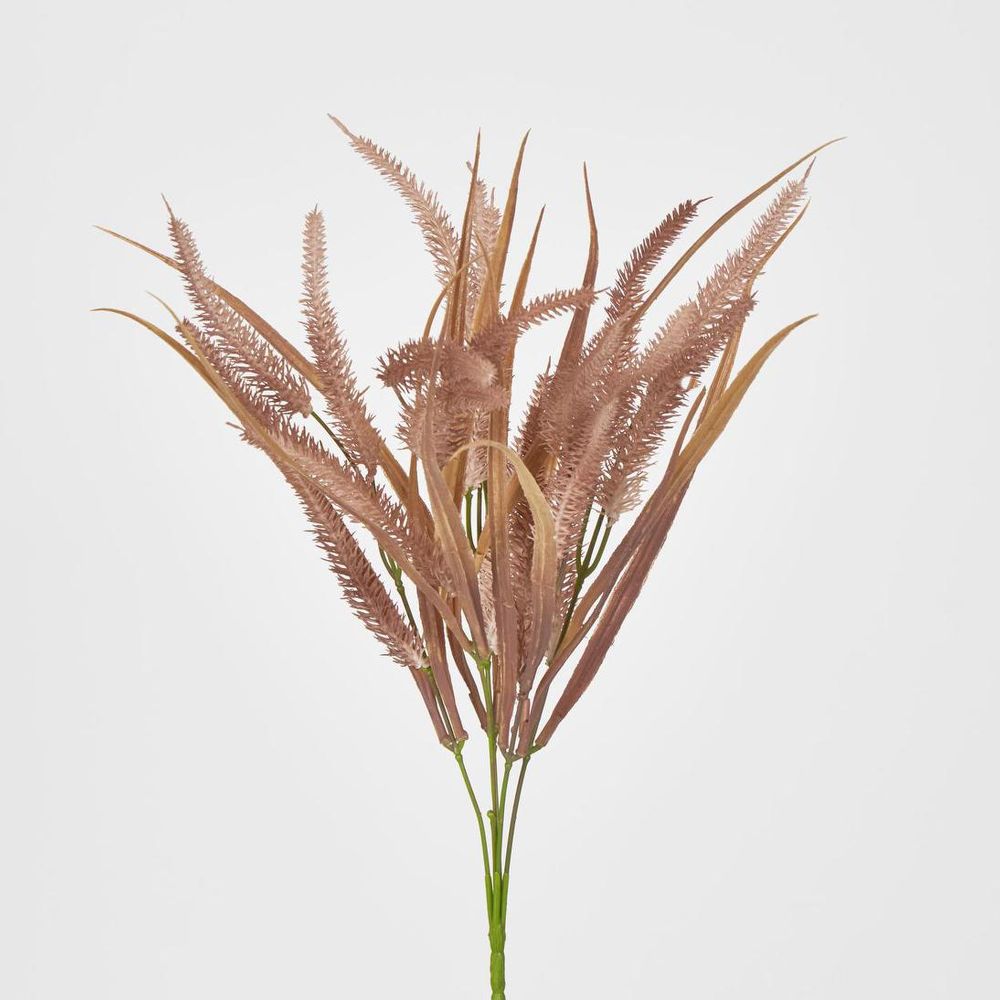 Pampas Grass Bush Pink